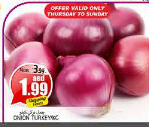  Onion  in PASONS GROUP in UAE - Al Ain