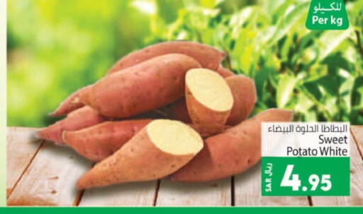  Sweet Potato  in Kabayan Hypermarket in KSA, Saudi Arabia, Saudi - Jeddah