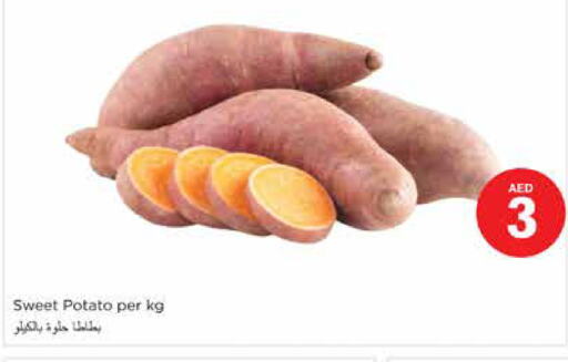  Sweet Potato  in نستو هايبرماركت in الإمارات العربية المتحدة , الامارات - الشارقة / عجمان