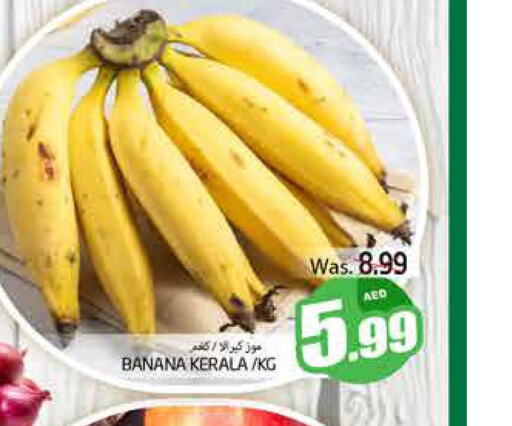  Banana  in PASONS GROUP in UAE - Al Ain