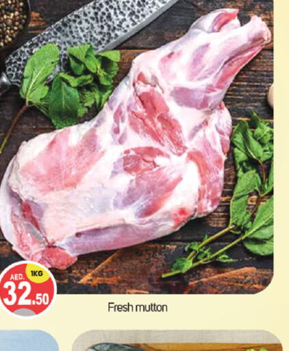  Mutton / Lamb  in TALAL MARKET in UAE - Dubai