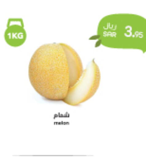  Sweet melon  in واحة المستهلك in مملكة العربية السعودية, السعودية, سعودية - الخبر‎