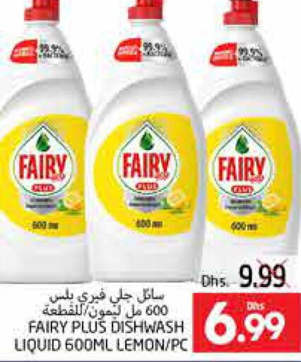 FAIRY   in PASONS GROUP in UAE - Al Ain