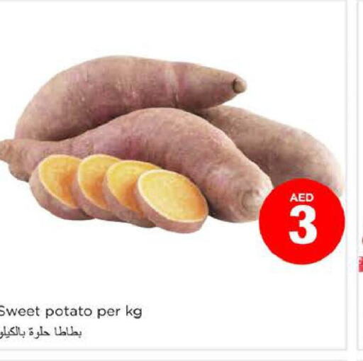  Sweet Potato  in نستو هايبرماركت in الإمارات العربية المتحدة , الامارات - الشارقة / عجمان