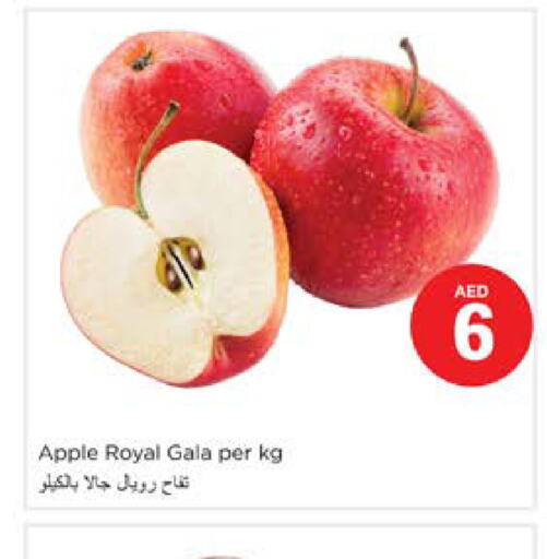  Apples  in نستو هايبرماركت in الإمارات العربية المتحدة , الامارات - دبي