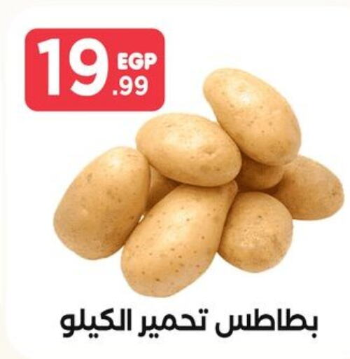  Potato  in مارت فيل in Egypt - القاهرة