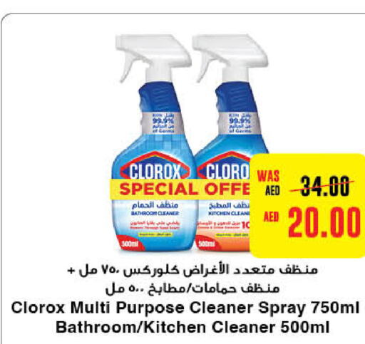 CLOROX Toilet / Drain Cleaner  in Al-Ain Co-op Society in UAE - Al Ain