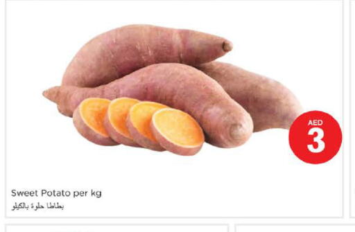  Sweet Potato  in نستو هايبرماركت in الإمارات العربية المتحدة , الامارات - الشارقة / عجمان