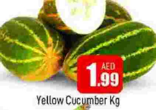  Cucumber  in المدينة in الإمارات العربية المتحدة , الامارات - الشارقة / عجمان