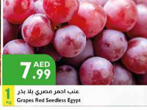  Grapes  in إسطنبول سوبرماركت in الإمارات العربية المتحدة , الامارات - الشارقة / عجمان