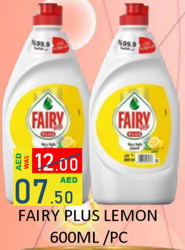 FAIRY   in ROYAL GULF HYPERMARKET LLC in UAE - Abu Dhabi