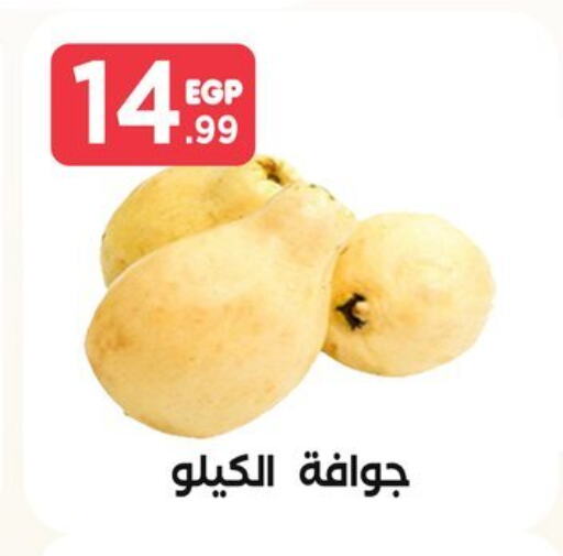  Guava  in المحلاوي ستورز in Egypt - القاهرة