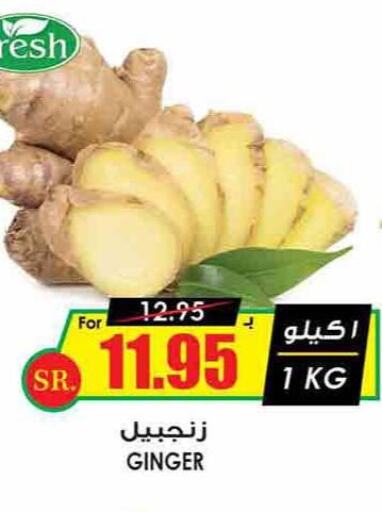  Ginger  in أسواق النخبة in مملكة العربية السعودية, السعودية, سعودية - الخفجي