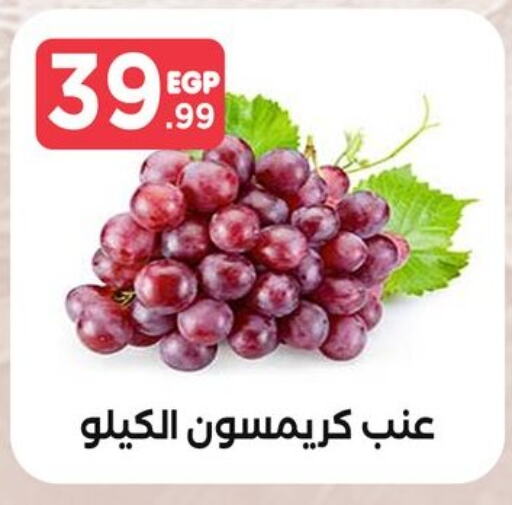  Grapes  in المحلاوي ستورز in Egypt - القاهرة