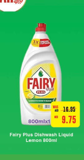 FAIRY   in Earth Supermarket in UAE - Abu Dhabi