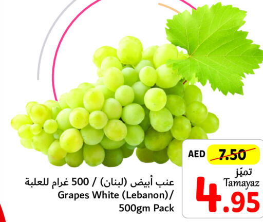  Grapes  in Union Coop in UAE - Dubai