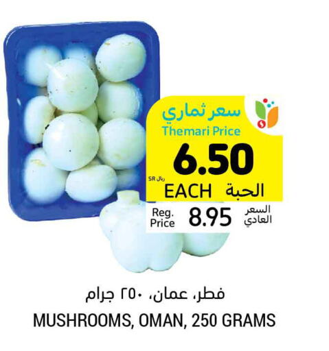  Mushroom  in أسواق التميمي in مملكة العربية السعودية, السعودية, سعودية - الخبر‎