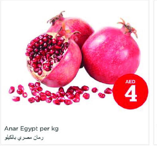  Pomegranate  in نستو هايبرماركت in الإمارات العربية المتحدة , الامارات - دبي