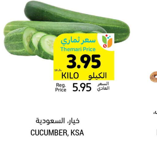  Cucumber  in أسواق التميمي in مملكة العربية السعودية, السعودية, سعودية - جدة