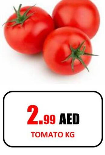  Tomato  in جفت داي هايبرماركت in الإمارات العربية المتحدة , الامارات - الشارقة / عجمان