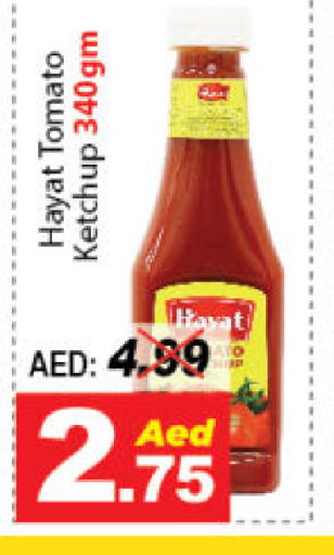 HAYAT Tomato Ketchup  in DESERT FRESH MARKET  in UAE - Abu Dhabi