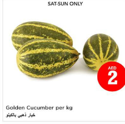  Cucumber  in نستو هايبرماركت in الإمارات العربية المتحدة , الامارات - الشارقة / عجمان