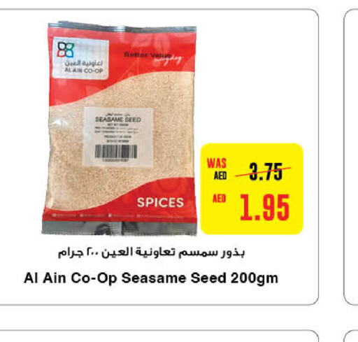 AL AIN Spices  in Earth Supermarket in UAE - Al Ain