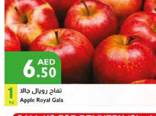  Apples  in Istanbul Supermarket in UAE - Ras al Khaimah