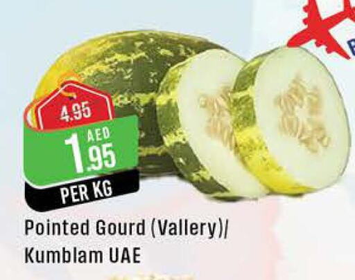  Gourd  in ويست زون سوبرماركت in الإمارات العربية المتحدة , الامارات - الشارقة / عجمان