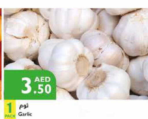  Garlic  in إسطنبول سوبرماركت in الإمارات العربية المتحدة , الامارات - الشارقة / عجمان