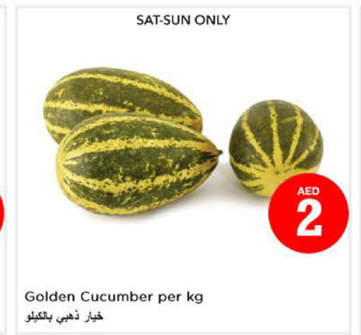  Cucumber  in نستو هايبرماركت in الإمارات العربية المتحدة , الامارات - الشارقة / عجمان