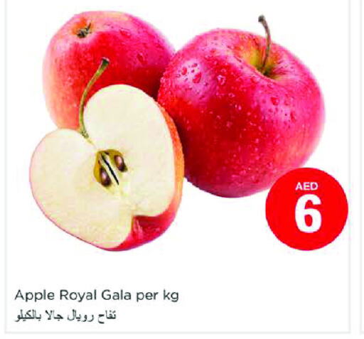  Apples  in نستو هايبرماركت in الإمارات العربية المتحدة , الامارات - دبي