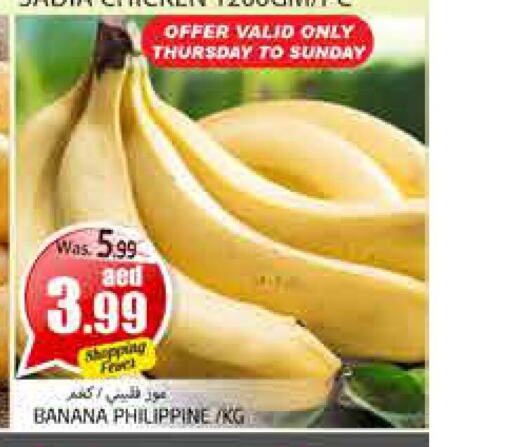  Banana  in PASONS GROUP in UAE - Al Ain