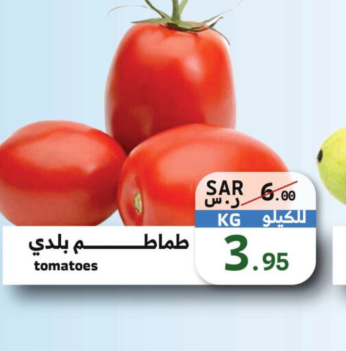  Tomato  in ميرا مارت مول in مملكة العربية السعودية, السعودية, سعودية - جدة