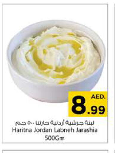  Labneh  in Nesto Hypermarket in UAE - Al Ain