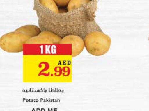  Potato  in Trolleys Supermarket in UAE - Dubai