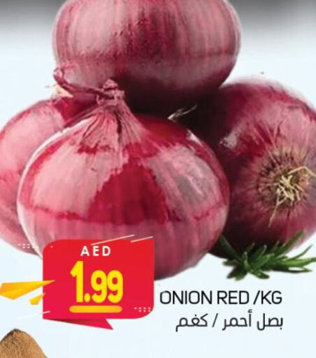 Onion