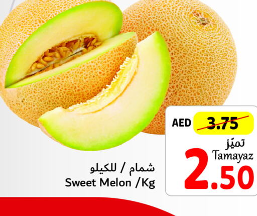  Sweet melon  in تعاونية الاتحاد in الإمارات العربية المتحدة , الامارات - دبي