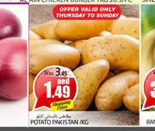  Potato  in مجموعة باسونس in الإمارات العربية المتحدة , الامارات - ٱلْعَيْن‎