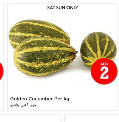  Cucumber  in نستو هايبرماركت in الإمارات العربية المتحدة , الامارات - الشارقة / عجمان