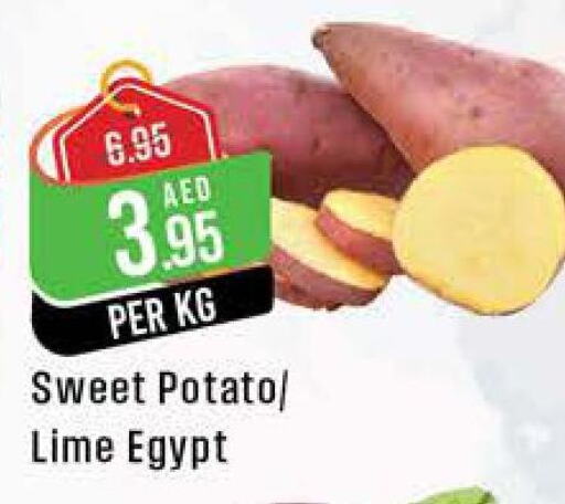  Sweet Potato  in ويست زون سوبرماركت in الإمارات العربية المتحدة , الامارات - أبو ظبي