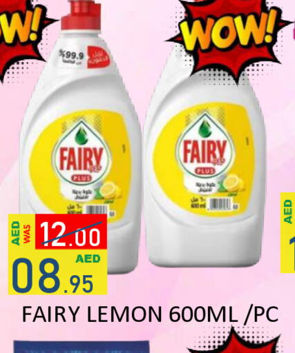 FAIRY   in ROYAL GULF HYPERMARKET LLC in UAE - Abu Dhabi