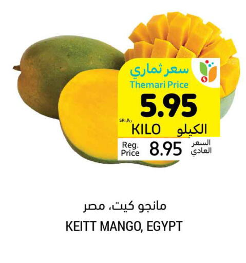 Mango Mango  in Tamimi Market in KSA, Saudi Arabia, Saudi - Medina