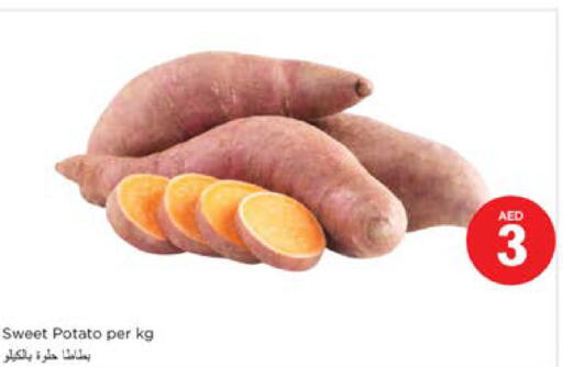  Sweet Potato  in نستو هايبرماركت in الإمارات العربية المتحدة , الامارات - الشارقة / عجمان