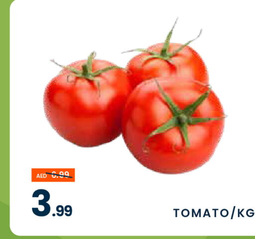  Tomato  in مدهور سوبرماركت in الإمارات العربية المتحدة , الامارات - الشارقة / عجمان