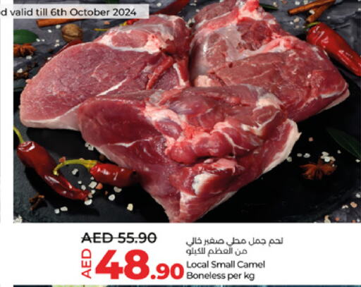  Camel meat  in Lulu Hypermarket in UAE - Al Ain