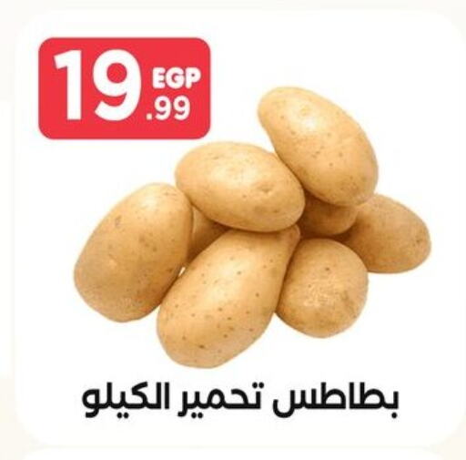  Potato  in المحلاوي ستورز in Egypt - القاهرة