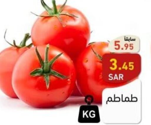  Tomato  in أسواق رامز in مملكة العربية السعودية, السعودية, سعودية - تبوك