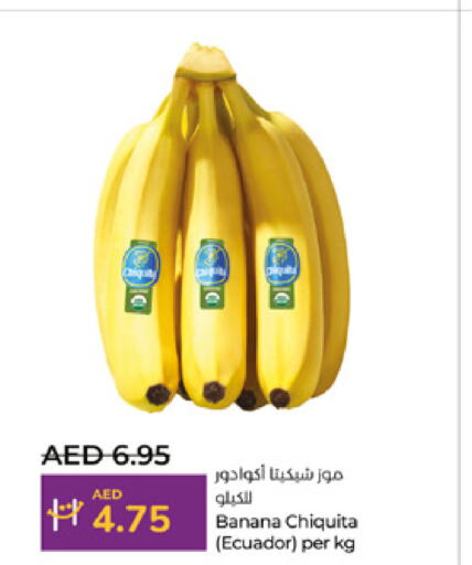  Banana  in لولو هايبرماركت in الإمارات العربية المتحدة , الامارات - ٱلْعَيْن‎