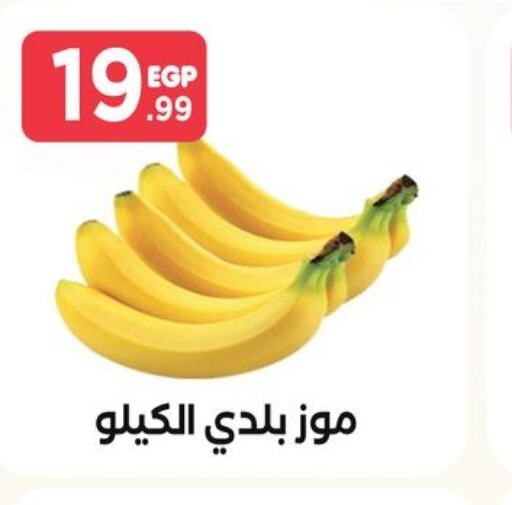 Banana